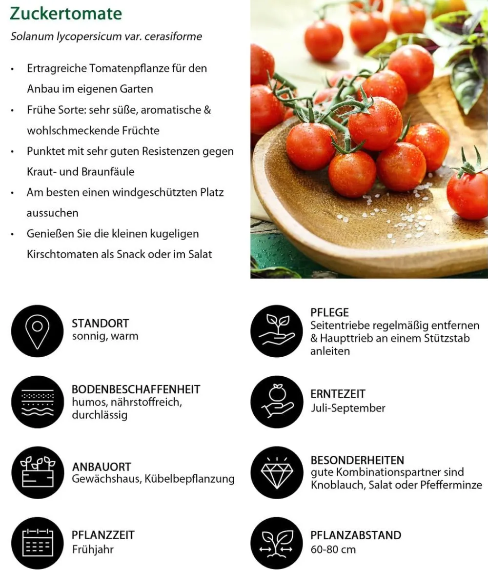 Dehner Zuckertomate, Rot Discount