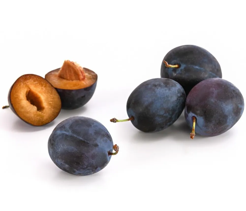 Dehner Obstbäume|Zwetschgen- & Pflaumenbäume > Zwetschge 'Kulinaria-Toptaste'